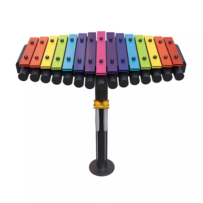 Rainbow Key Glock Vlekvrye Staal Kindermusiekinstrument